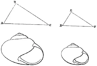 lf0625_figure_058.jpg